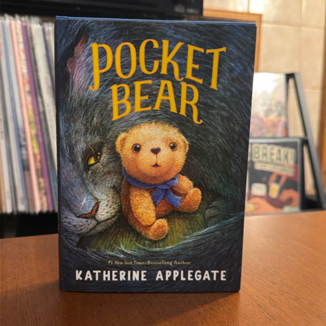 Pocket Bear