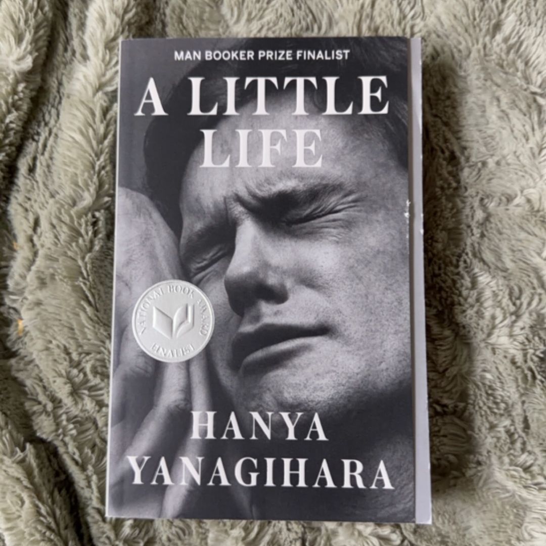 A Little Life