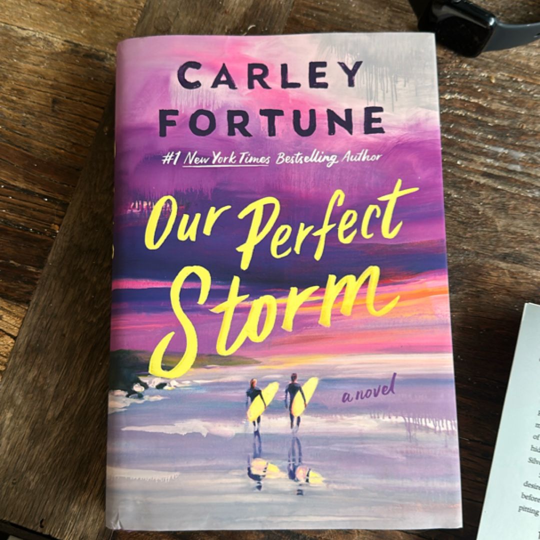Our Perfect Storm