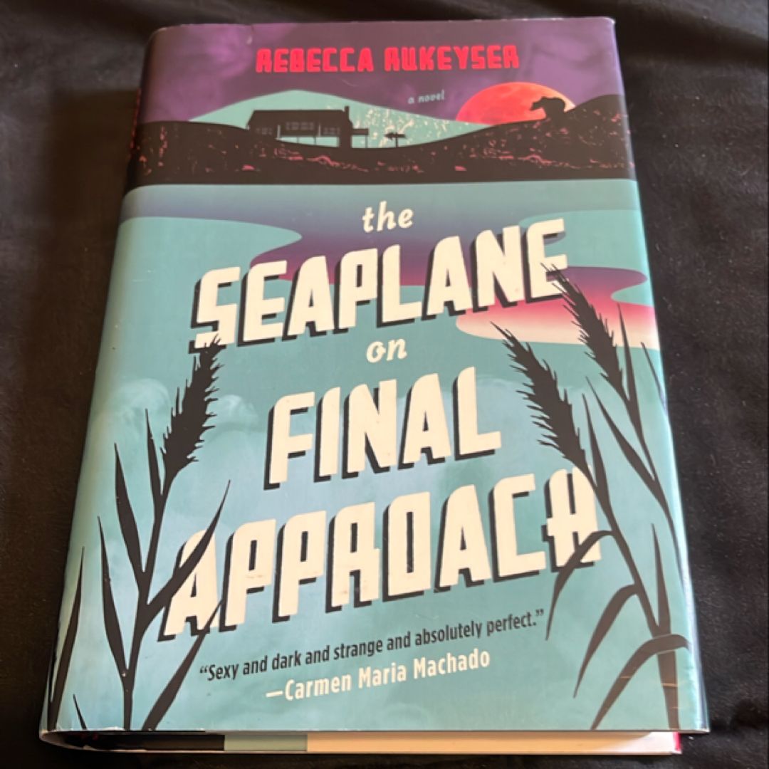 The Seaplane on Final Approach