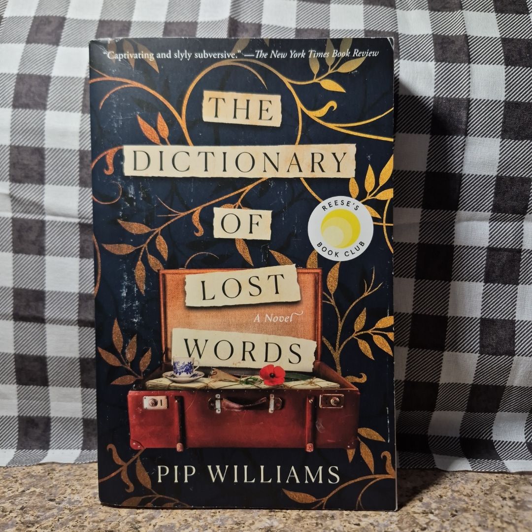 The Dictionary of Lost Words