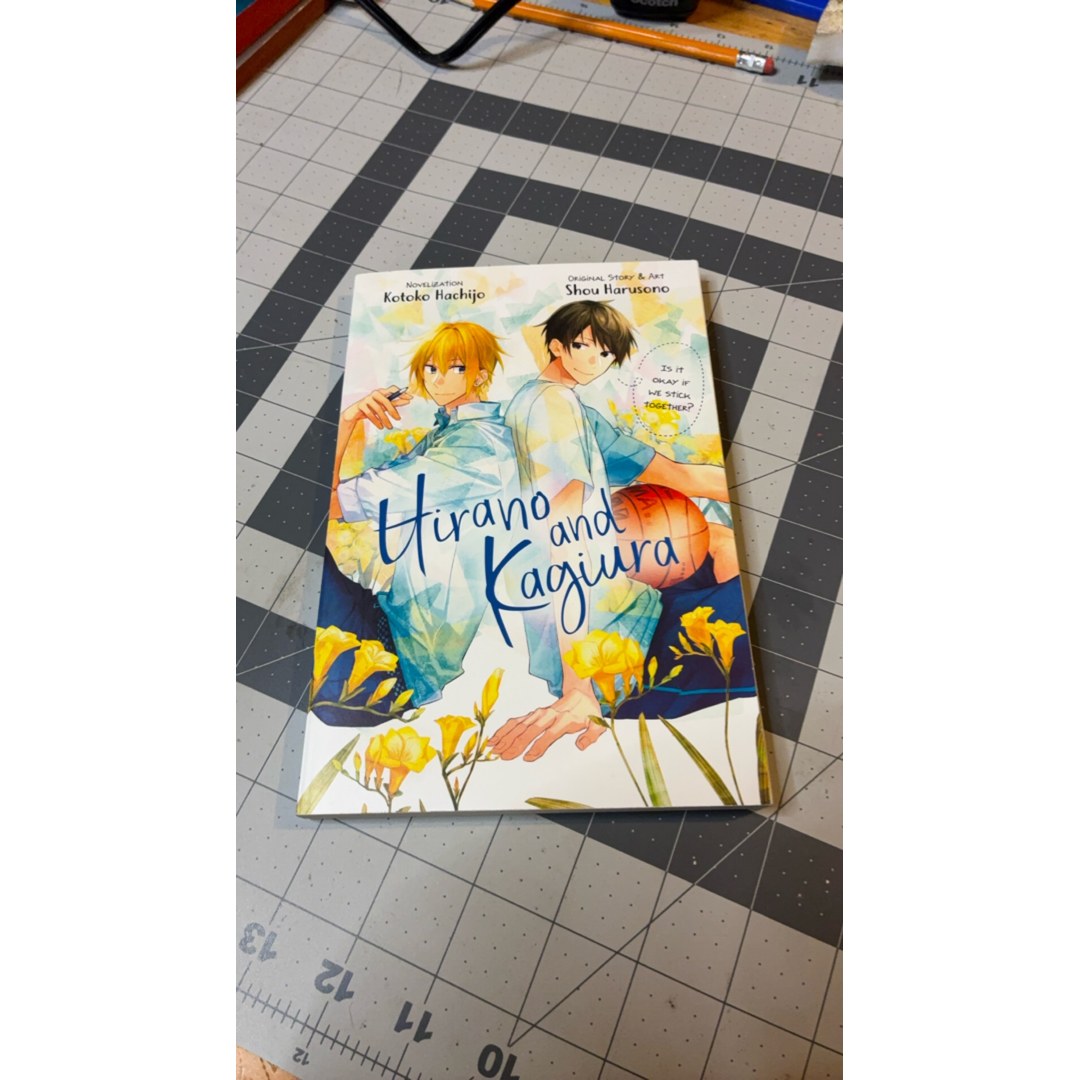 Hirano and Kagiura (novel)