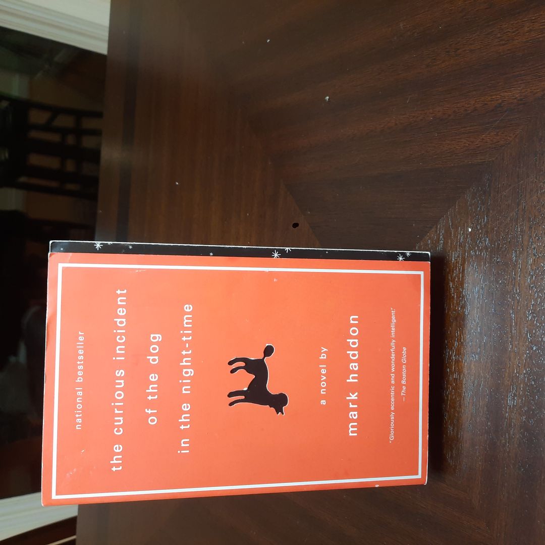 The Curious Incident of the Dog in the Night-Time