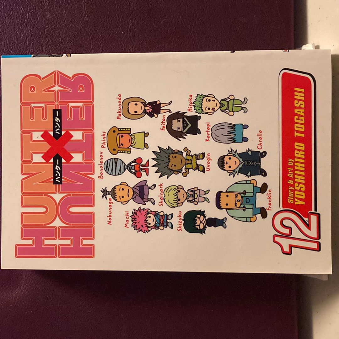 Hunter X Hunter, Vol. 13 by Yoshihiro Togashi