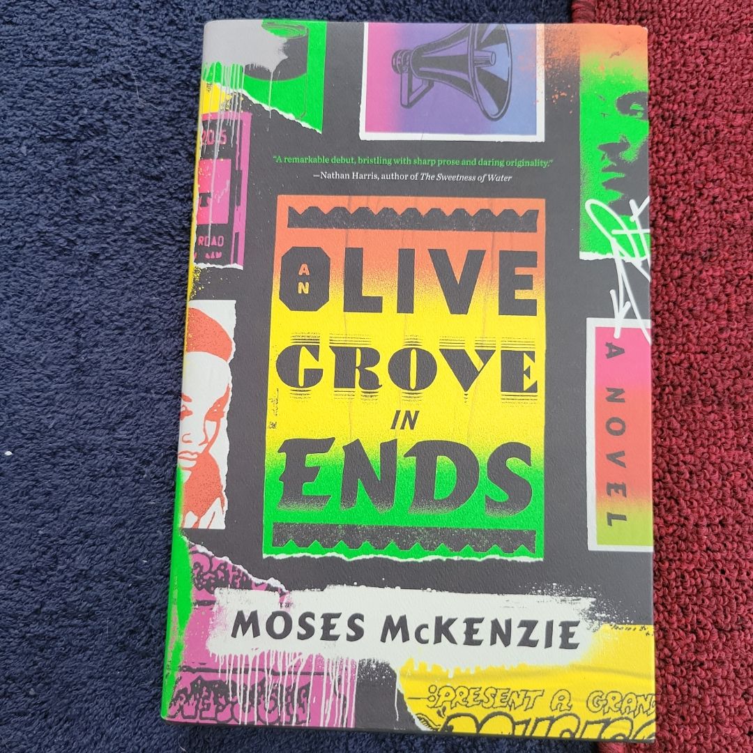 An Olive Grove in Ends