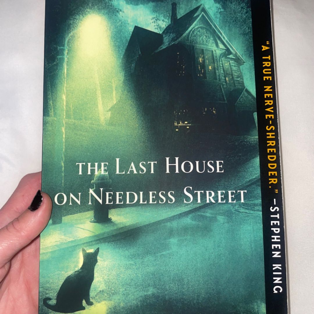 The Last House on Needless Street