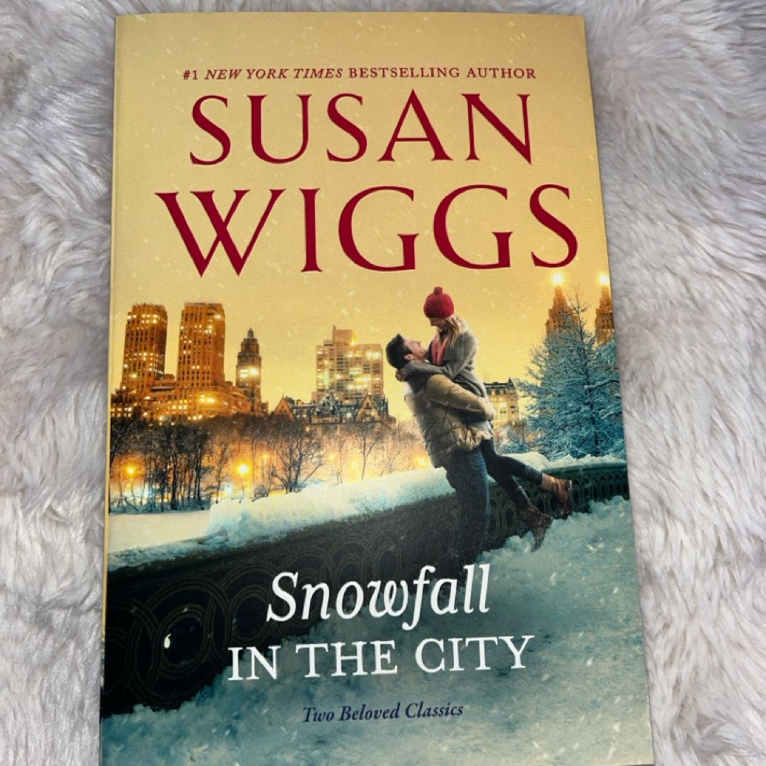 Snowfall in the City