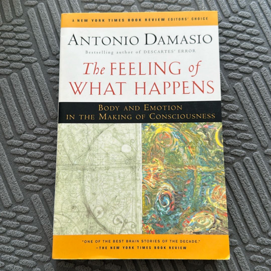 The Feeling of What Happens