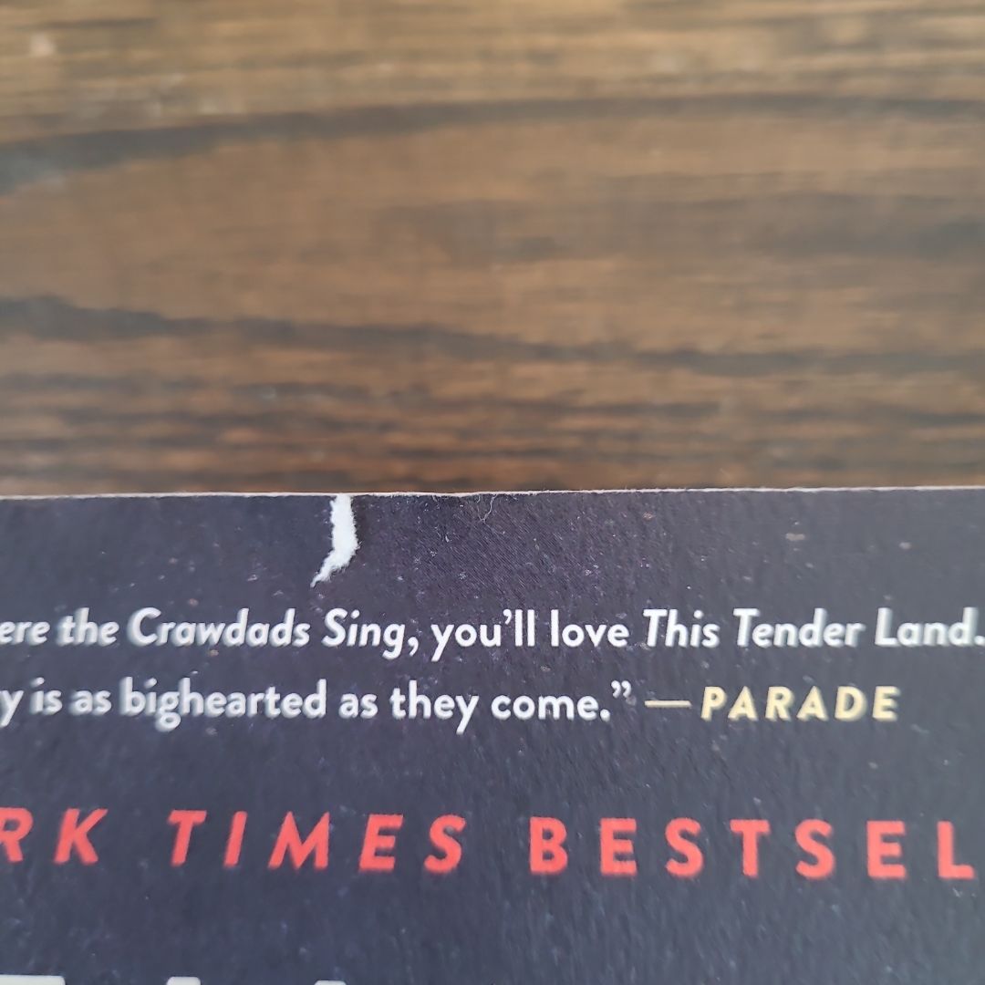 This Tender Land