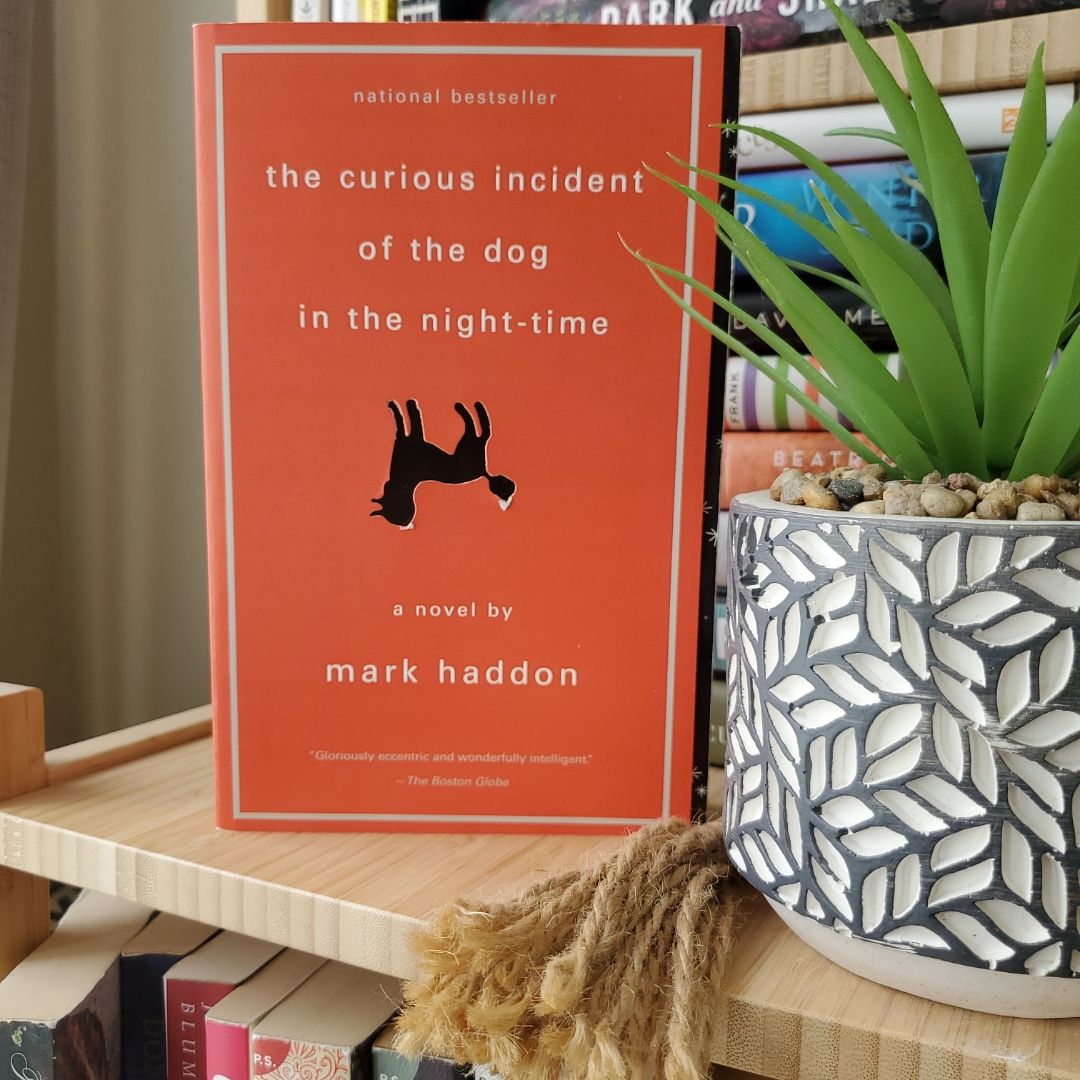 The Curious Incident of the Dog in the Night-Time