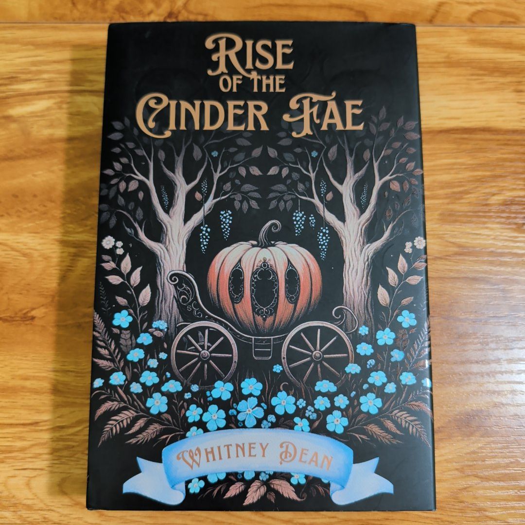 Rise of the Cinder Fae - Unplugged Book Box