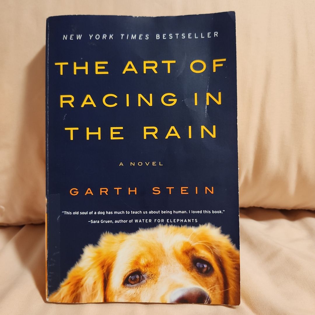 The Art of Racing in the Rain