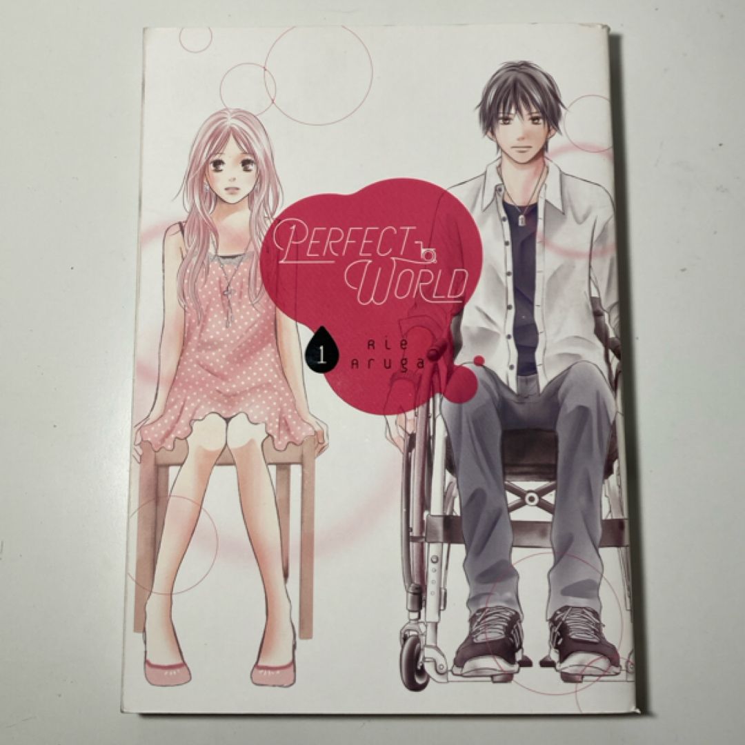 Perfect World 1