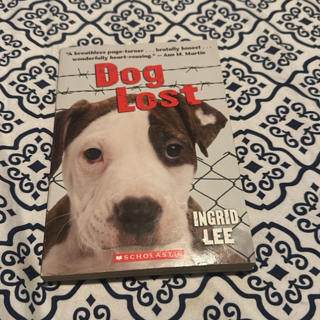 Dog Lost