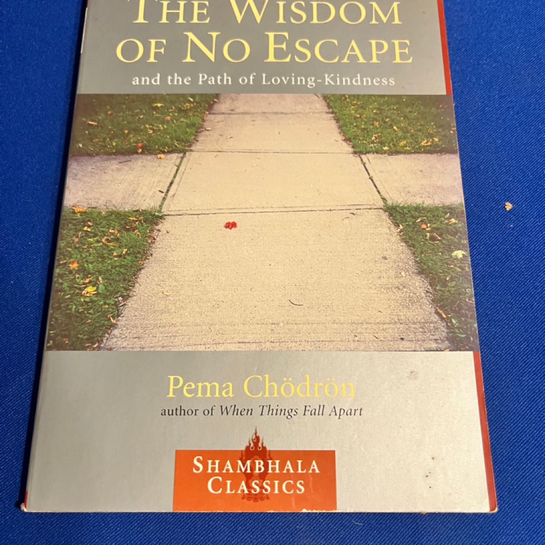The Wisdom of No Escape