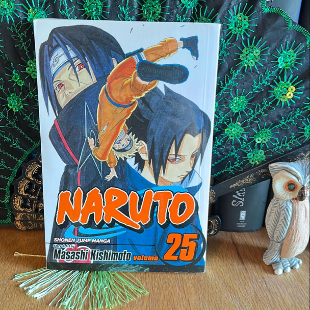 Naruto, Vol. 25