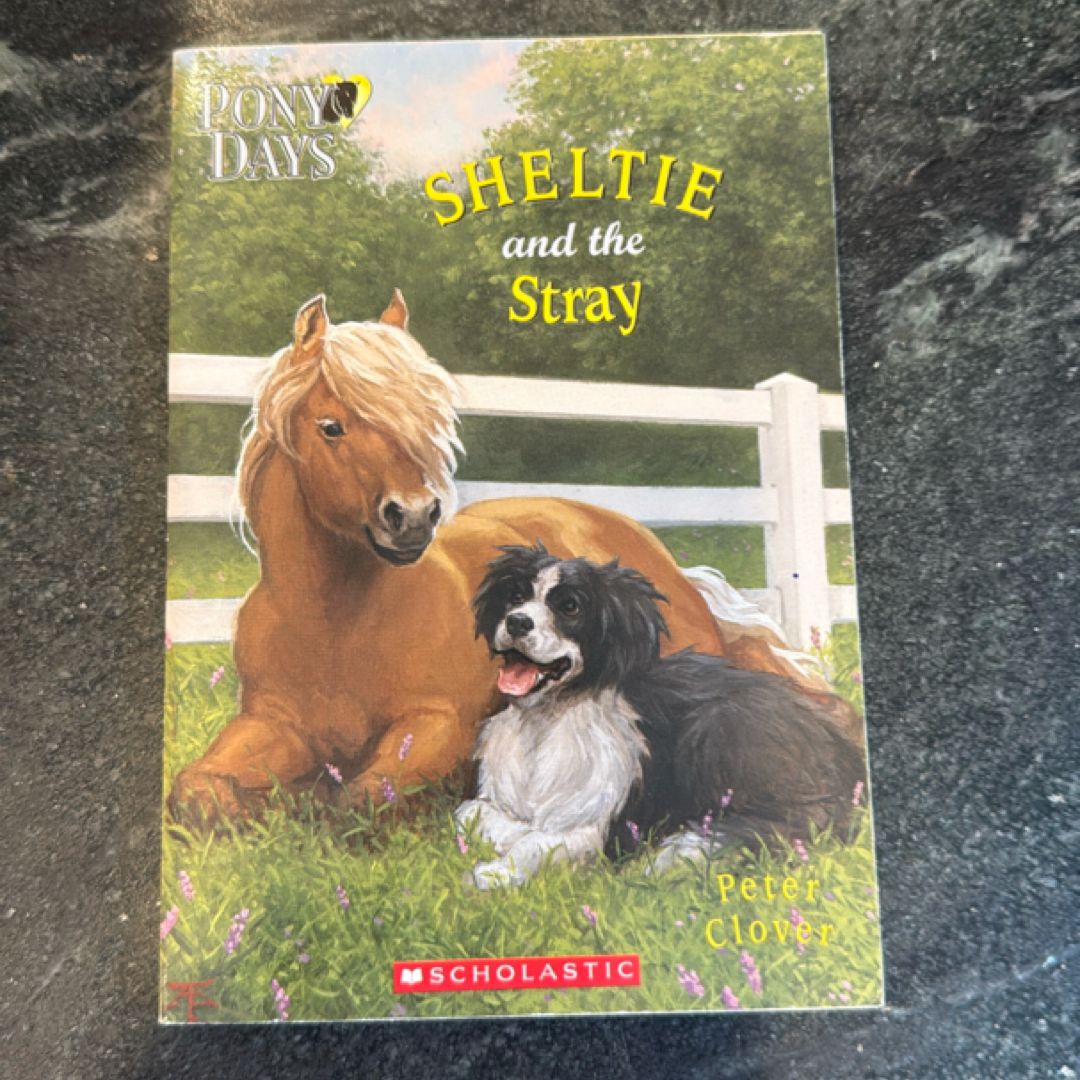 Sheltie and the Stray