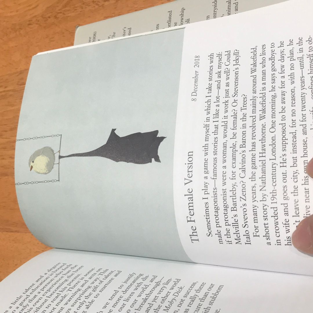 Incidental Inventions by Elena Ferrante, Ann Goldstein