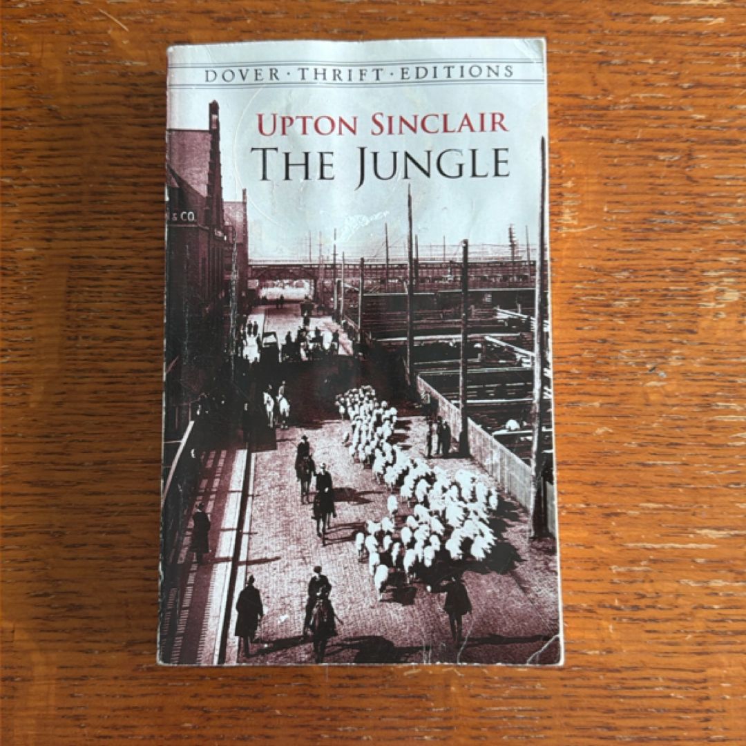 The Jungle