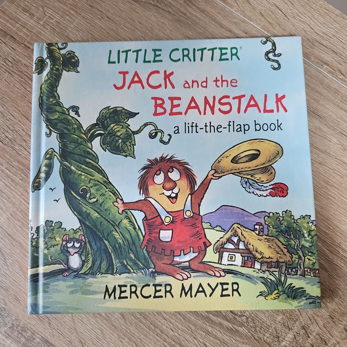 Jack And The Beanstalk By Mercer Mayer