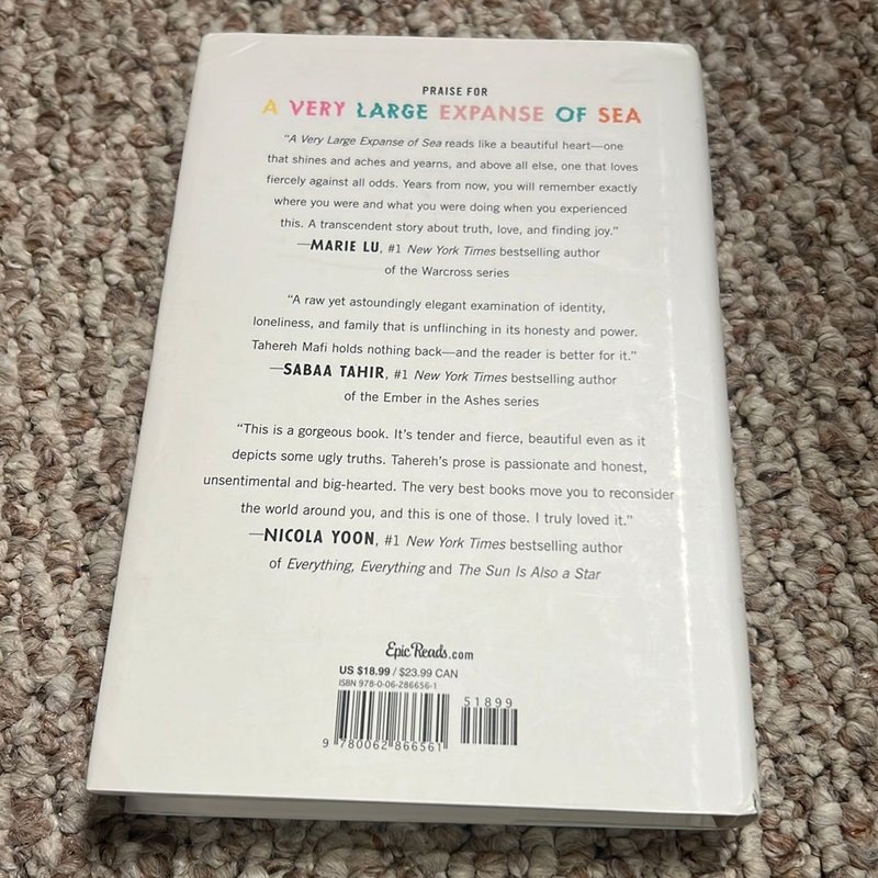 A Very Large Expanse of Sea