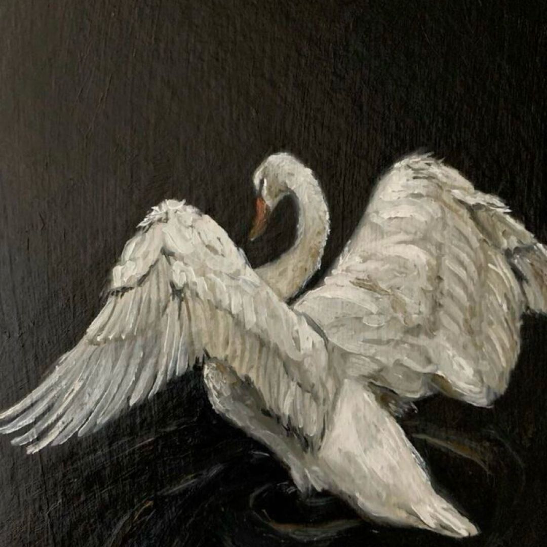 the black swan archive