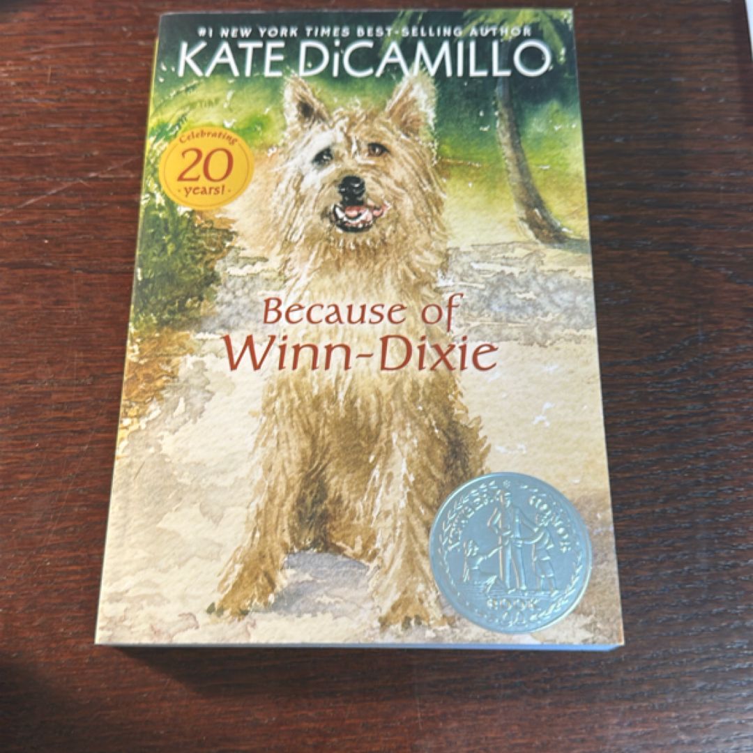 Because of Winn-Dixie