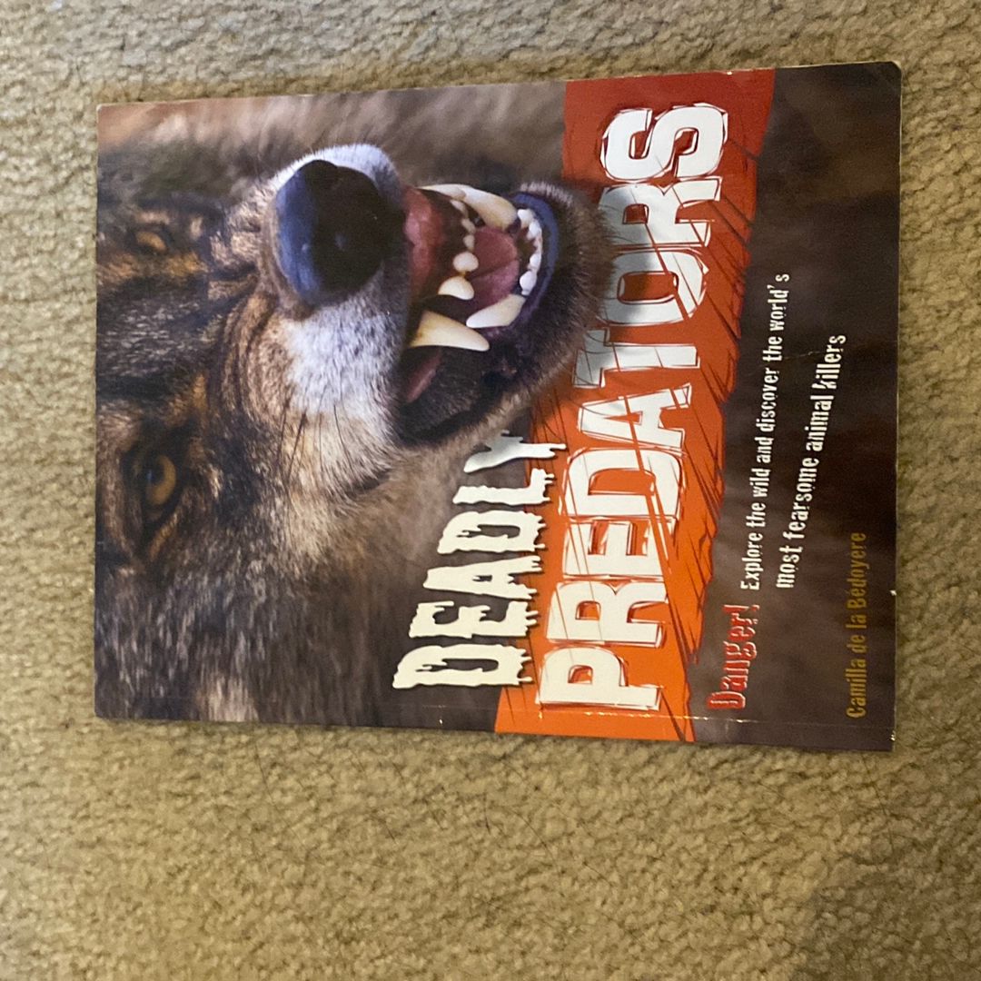 Deadly Predators (Animal Attacks) Scholastic Clubs
