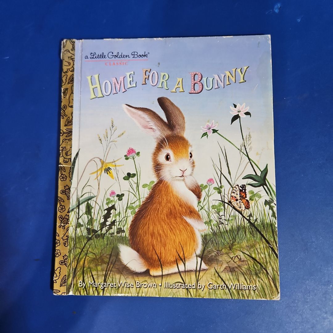 Home for a Bunny