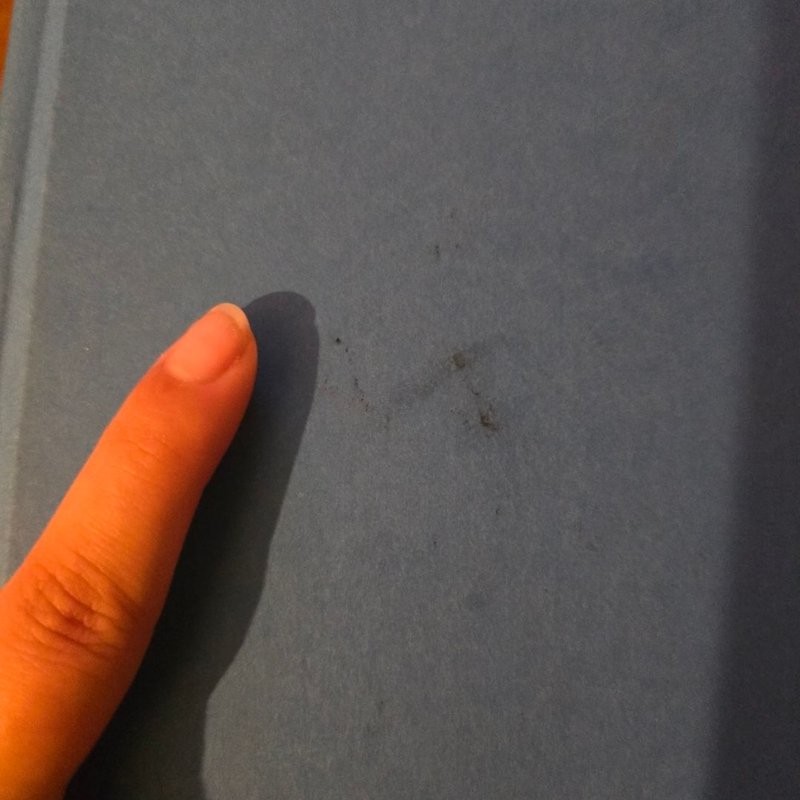 Your Lonely Nights Are Over