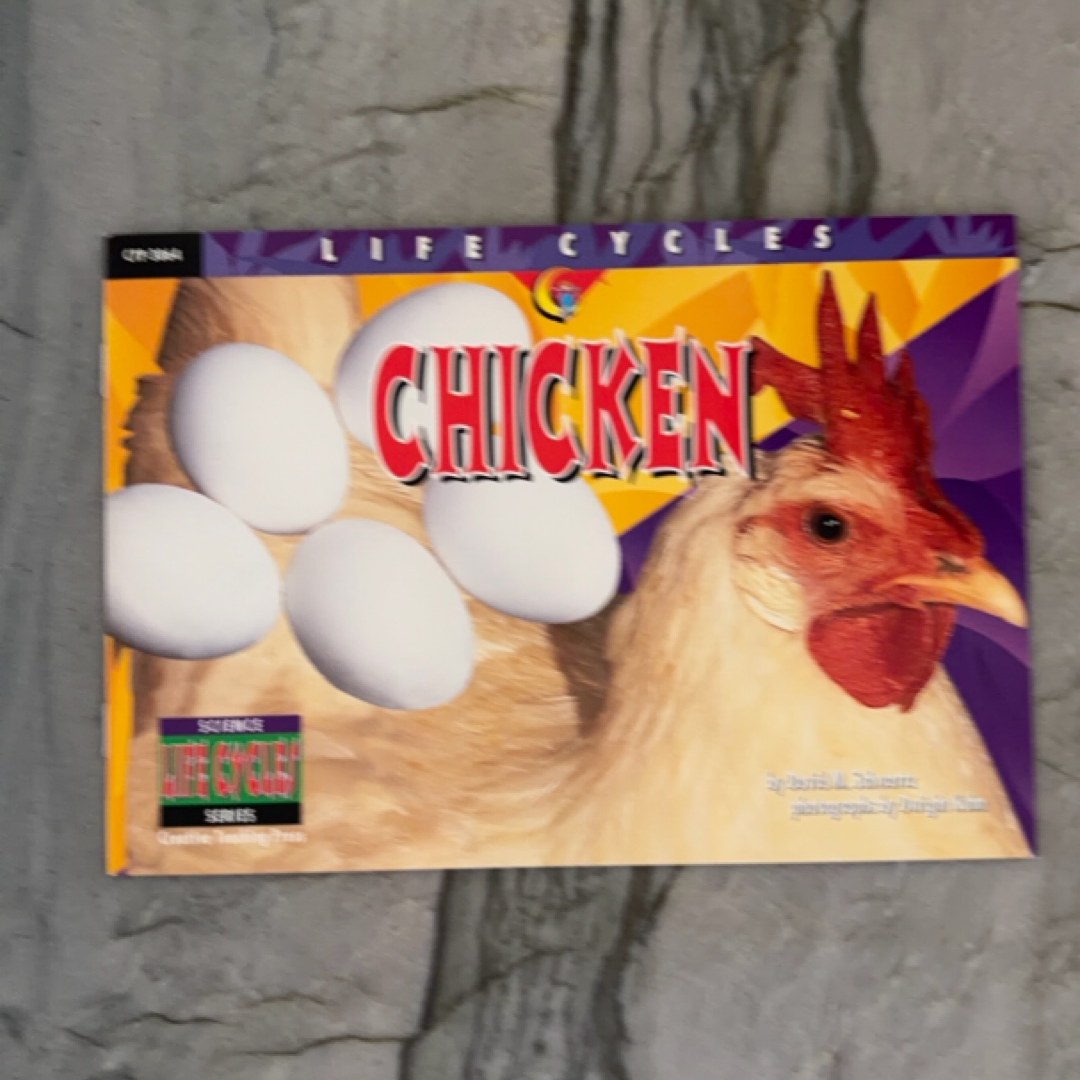 Chicken
