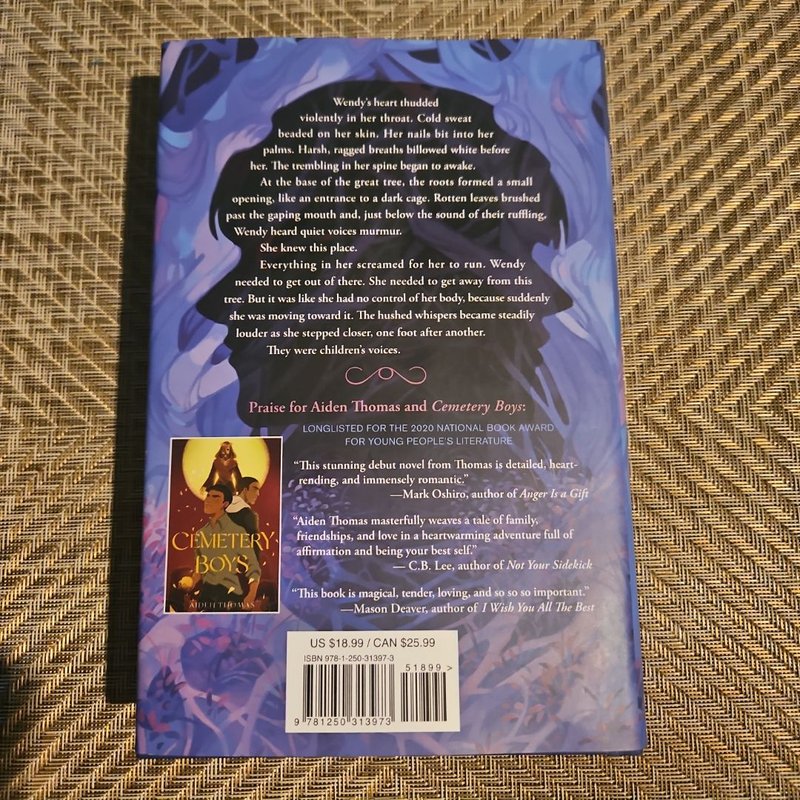 Lost in the Never Woods