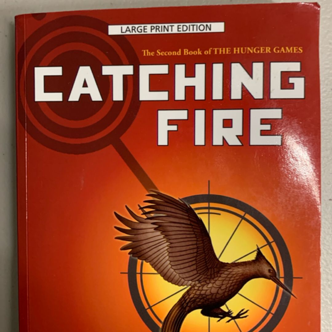 Catching Fire (LARGE PRINT)