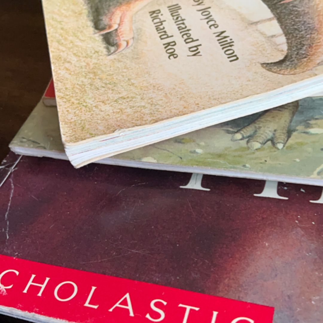 Dinosaur Book Bundle 