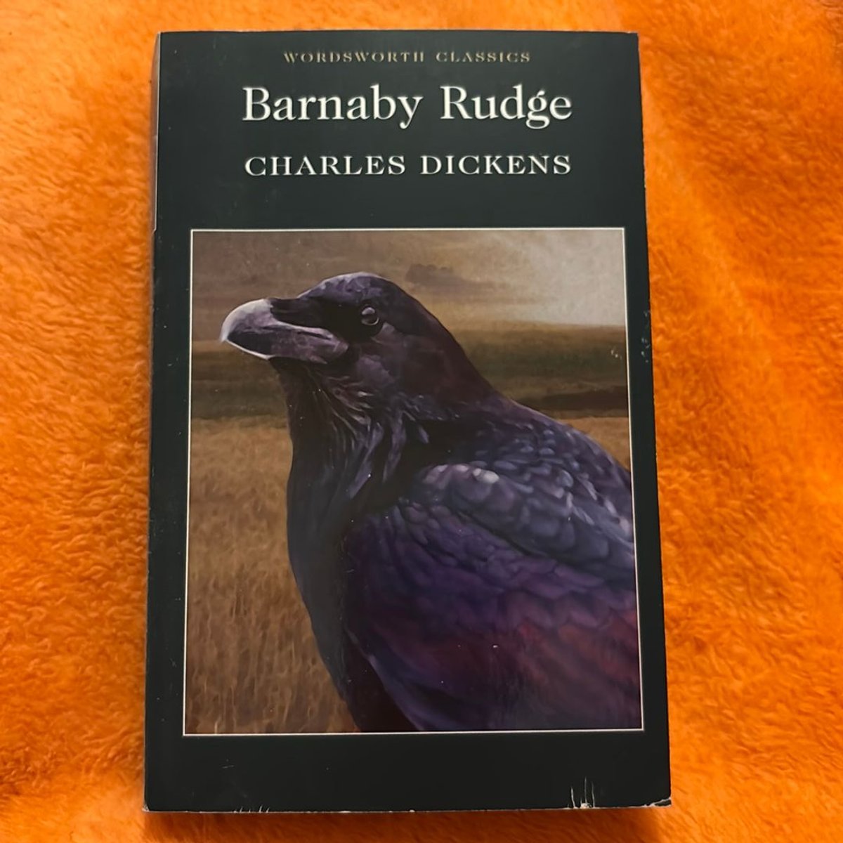Barnaby Rudge (German Edition) by Charles Dickens; G. W. Spence (Editor)