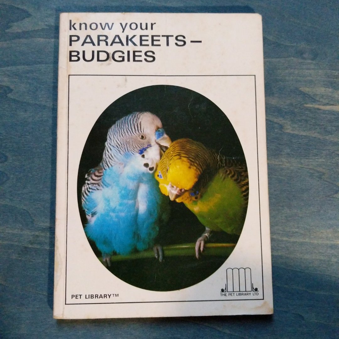 Know Your Parakeets-Budgies
