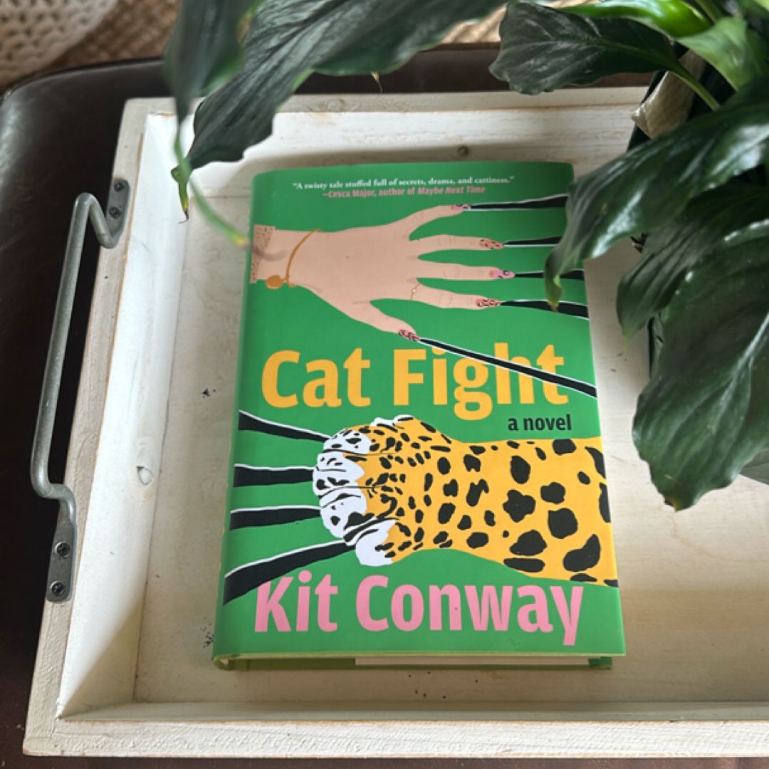 Cat Fight