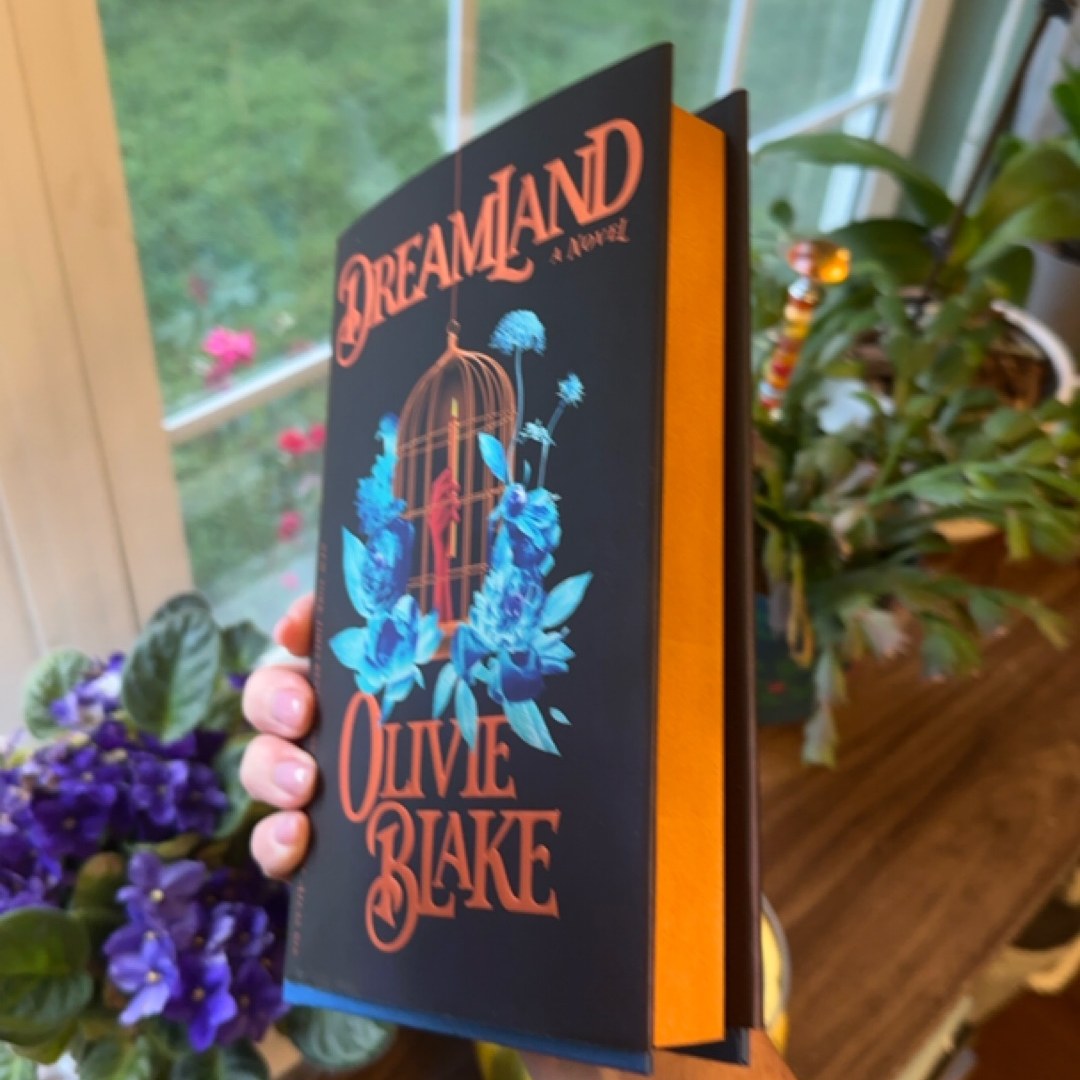 Dreamland