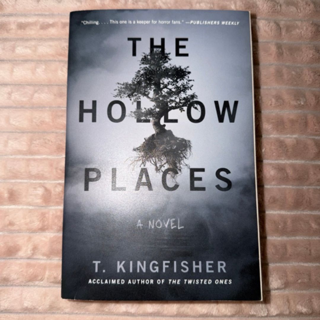 The Hollow Places