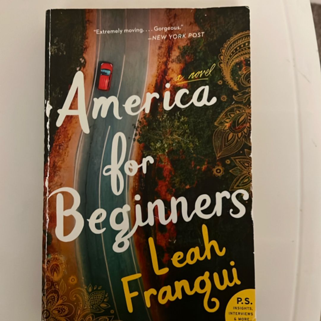 America for Beginners