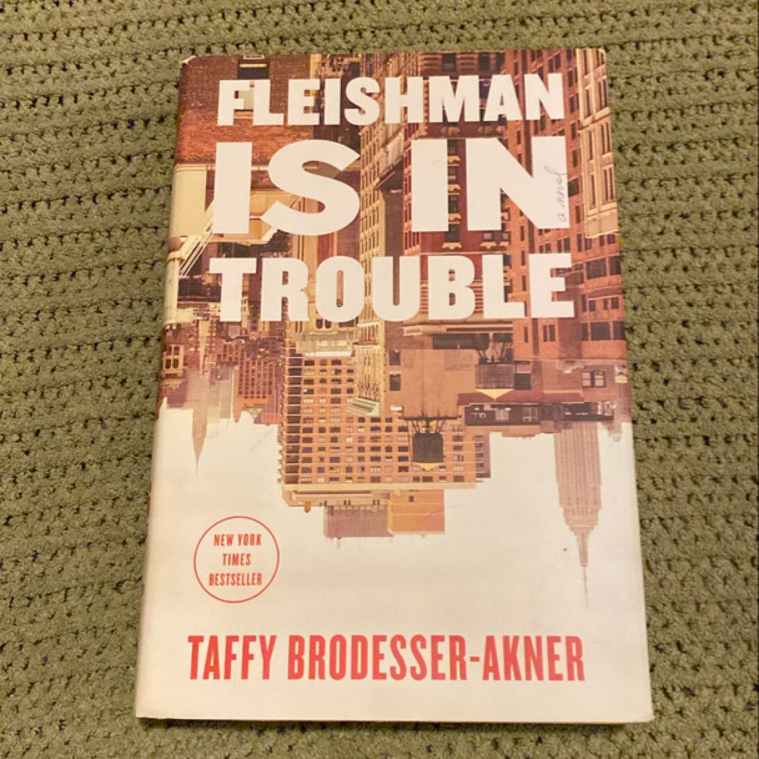 Fleishman Is in Trouble