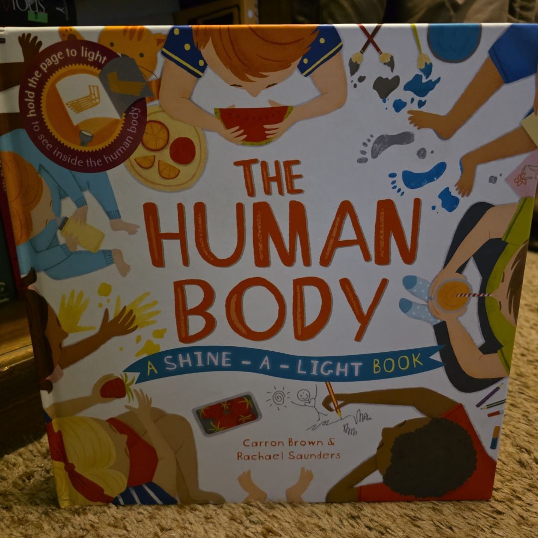 The Human Body