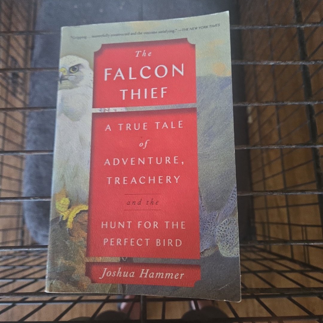 The Falcon Thief