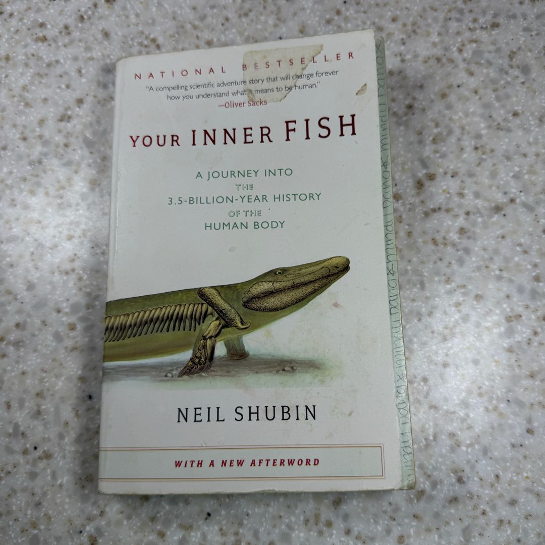 Your Inner Fish