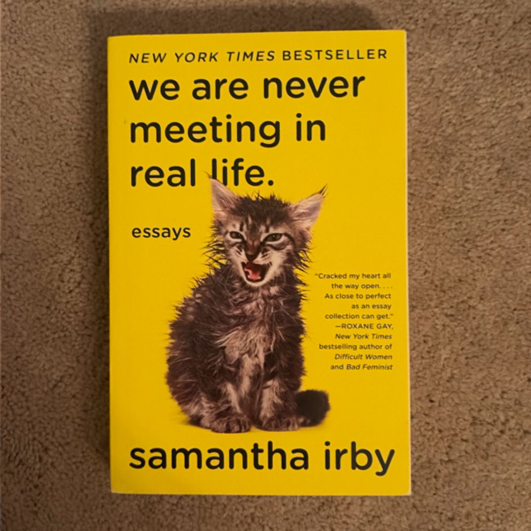 We Are Never Meeting in Real Life