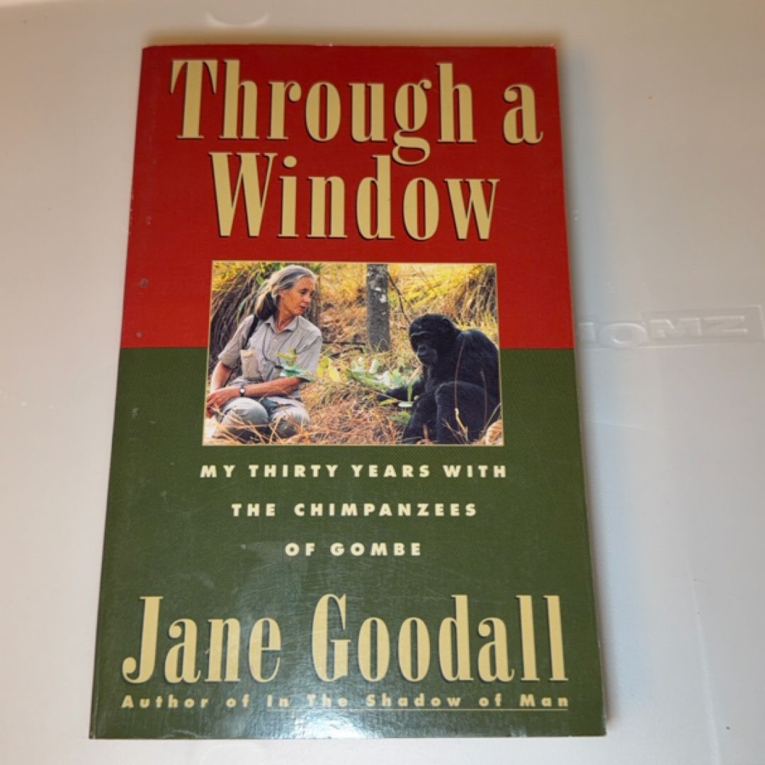 Through a Window