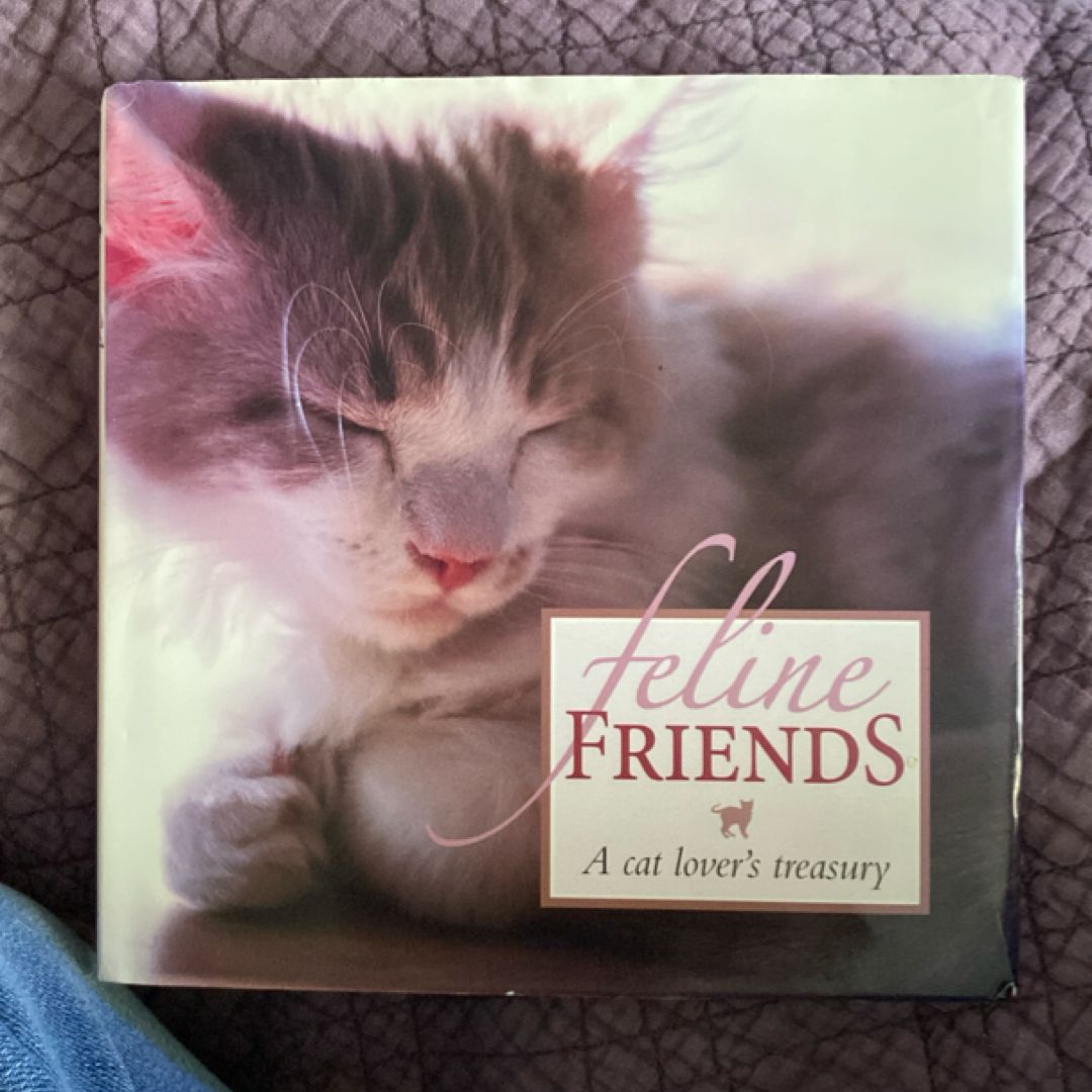 Feline Friends
