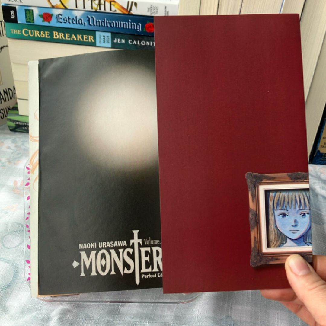 Monster: the Perfect Edition, Vol. 2