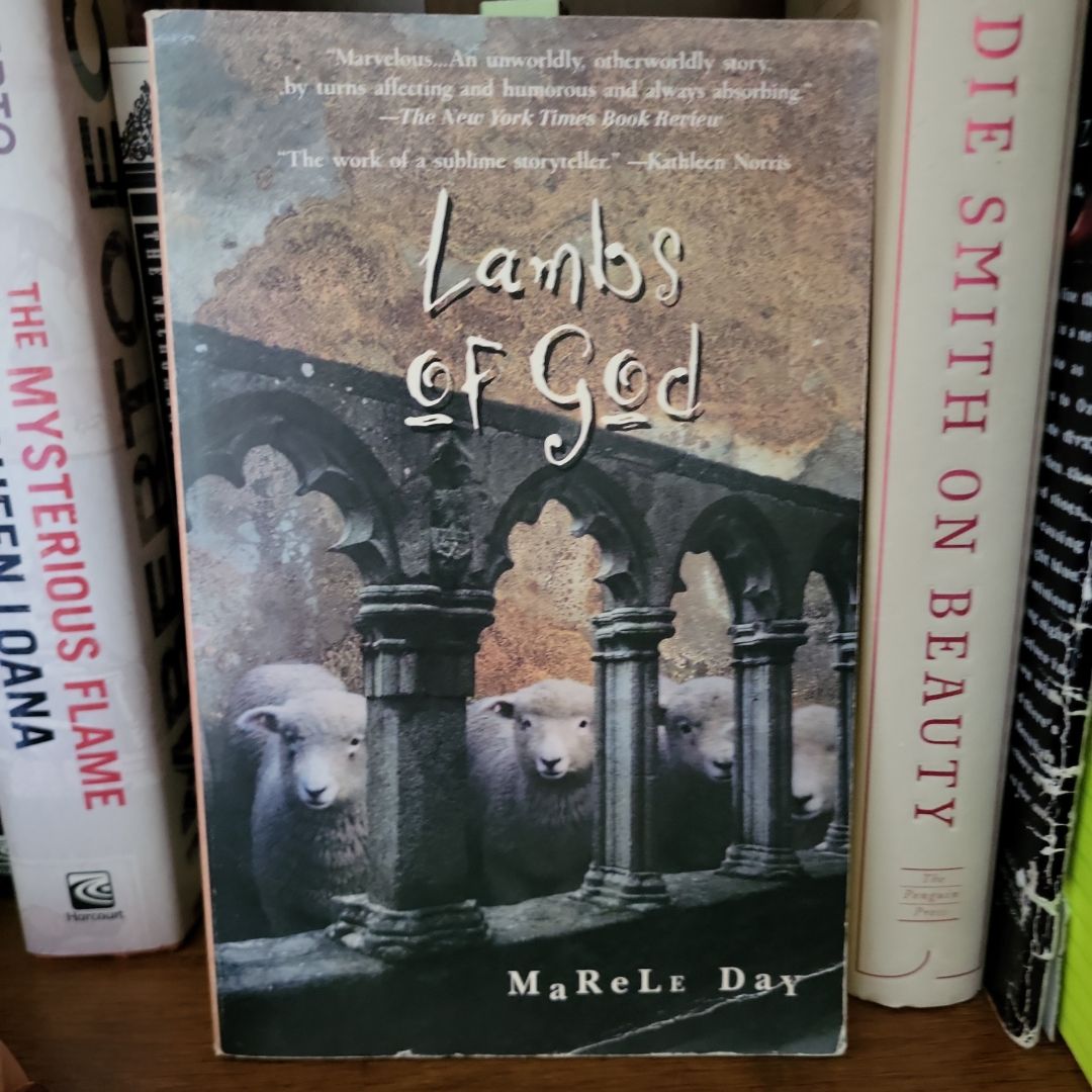 Sale image for f12fc313-2172-4667-b083-11c885b8ef3d-ch7K2W9F4LSdv1BBwsuUOWncXUJ2