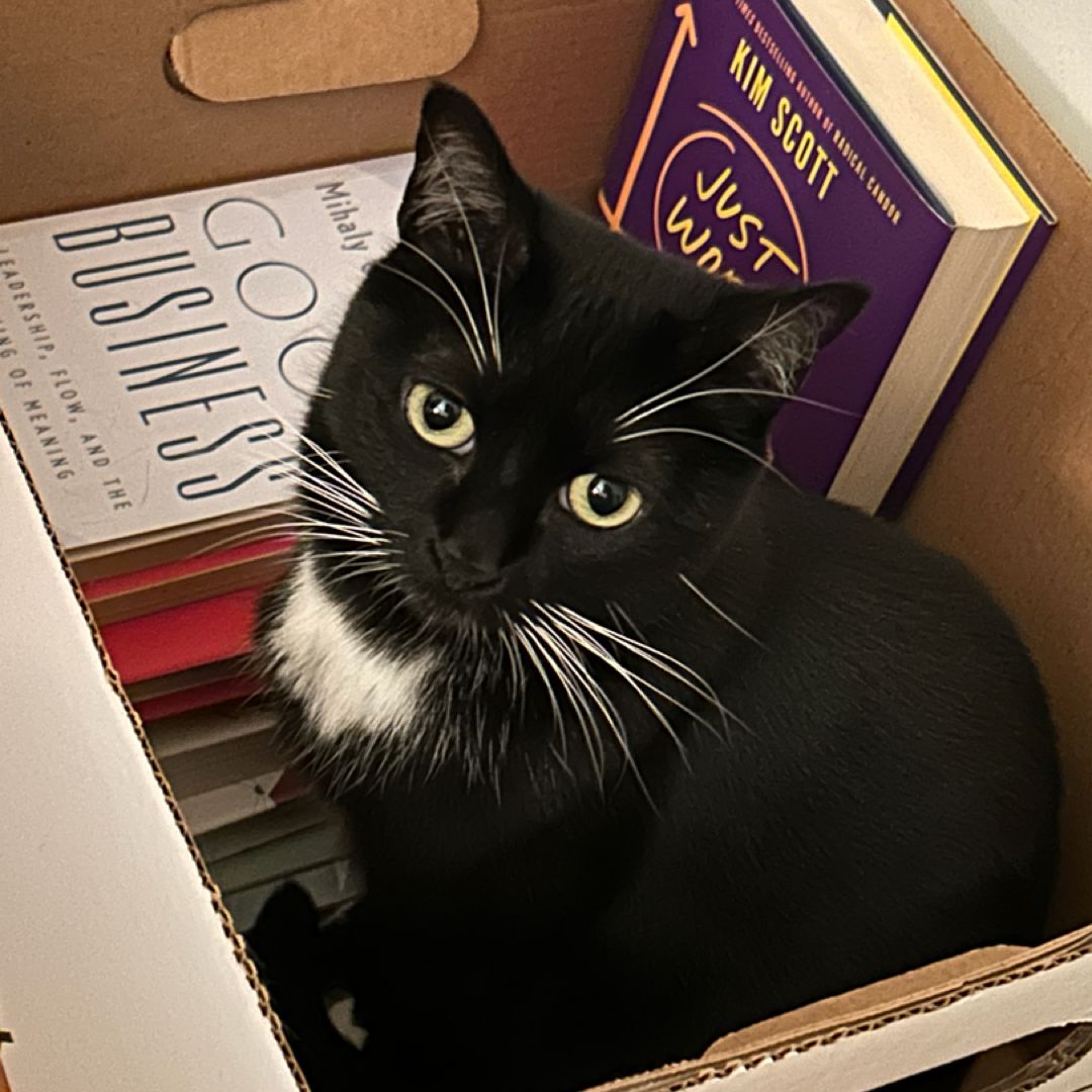 Buttercup’s Bookshelf